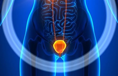Особенности онкоурологических заболеваний